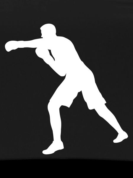 Boxer punch in white