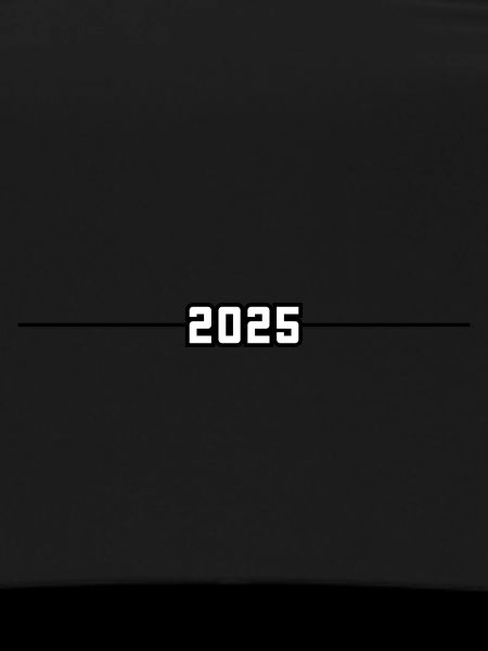 2025 year