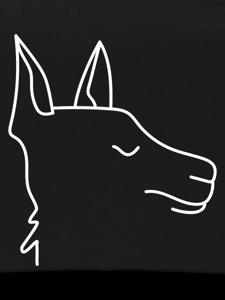 Lama abstract