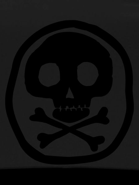 Skull & Bones