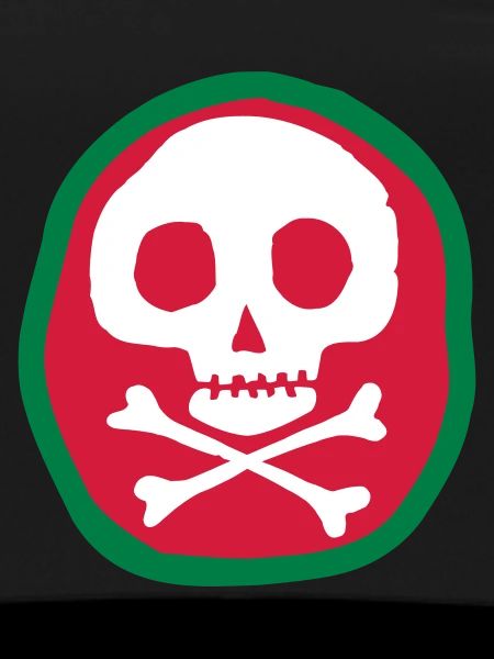 Skull and bones