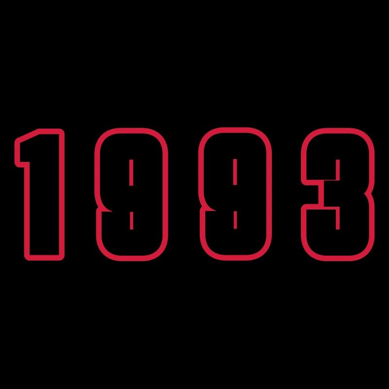 1993 Year Number