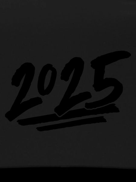 2025 year