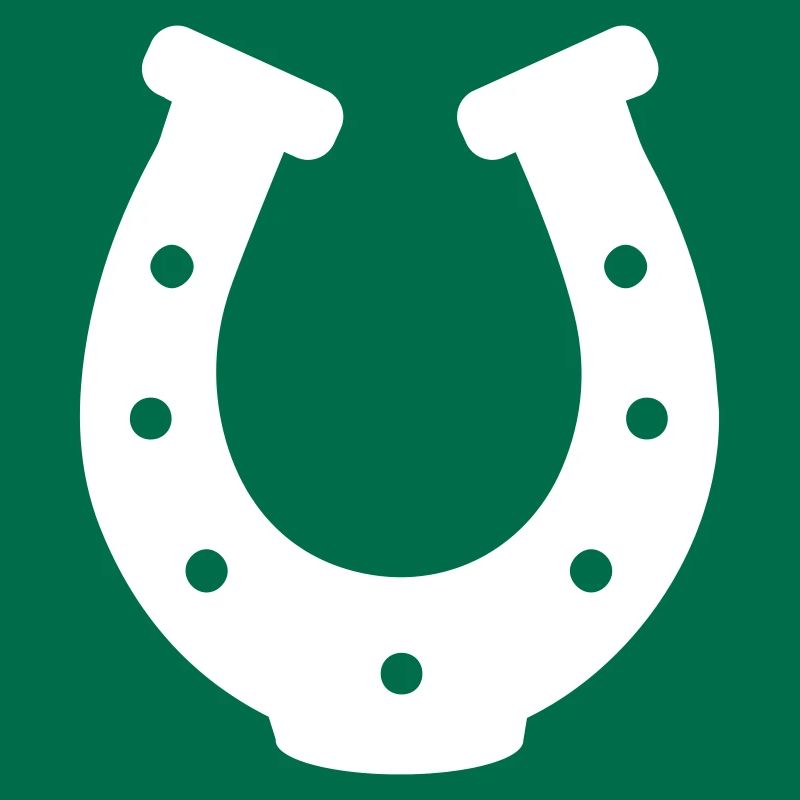 Horseshoe Icon