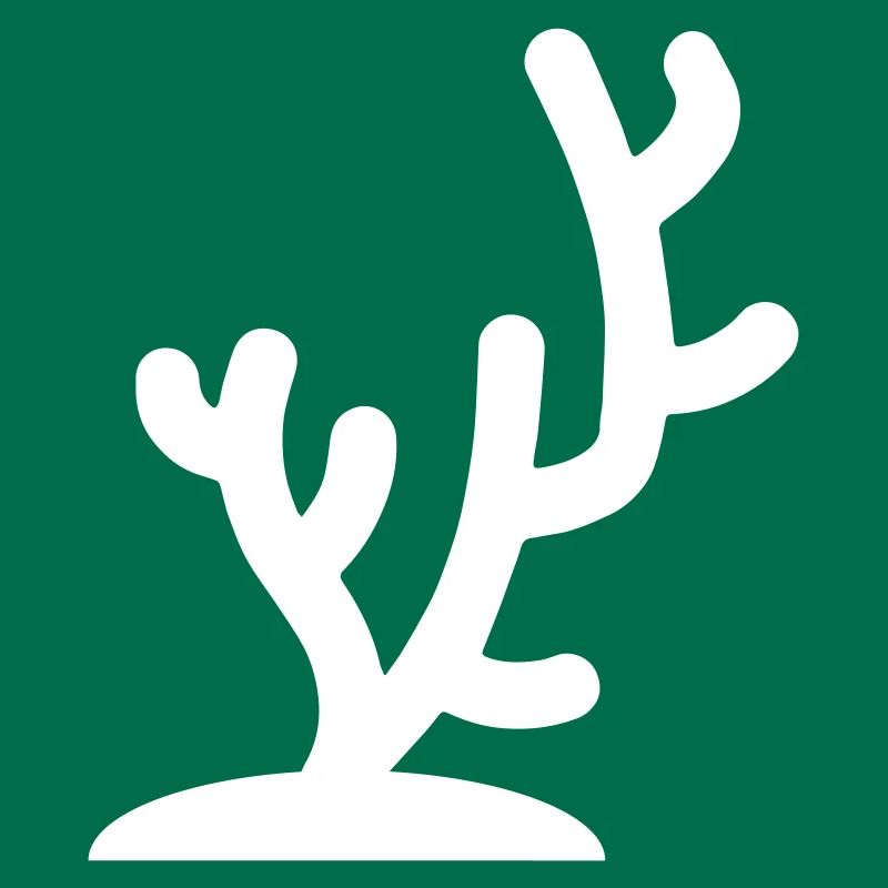 Océan de corail