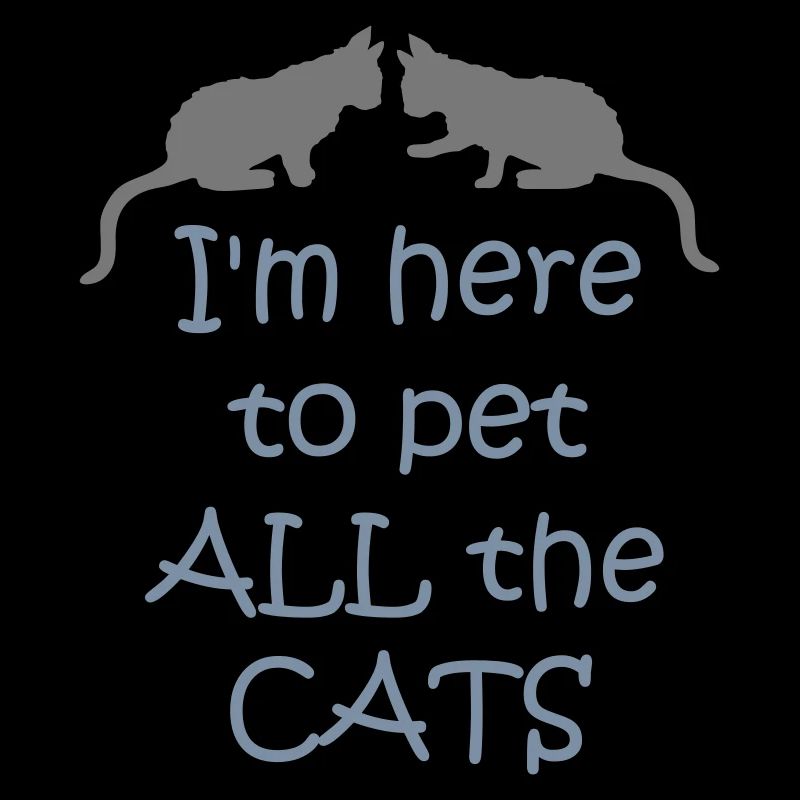 Animaux de compagnie tous les chats