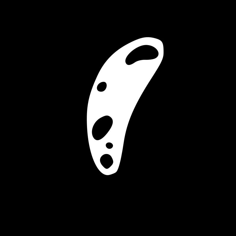 bacteria cell type 3