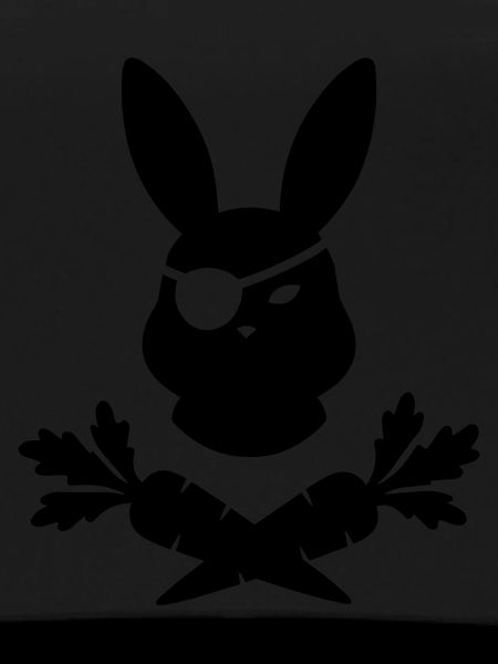 Rabbit Pirate