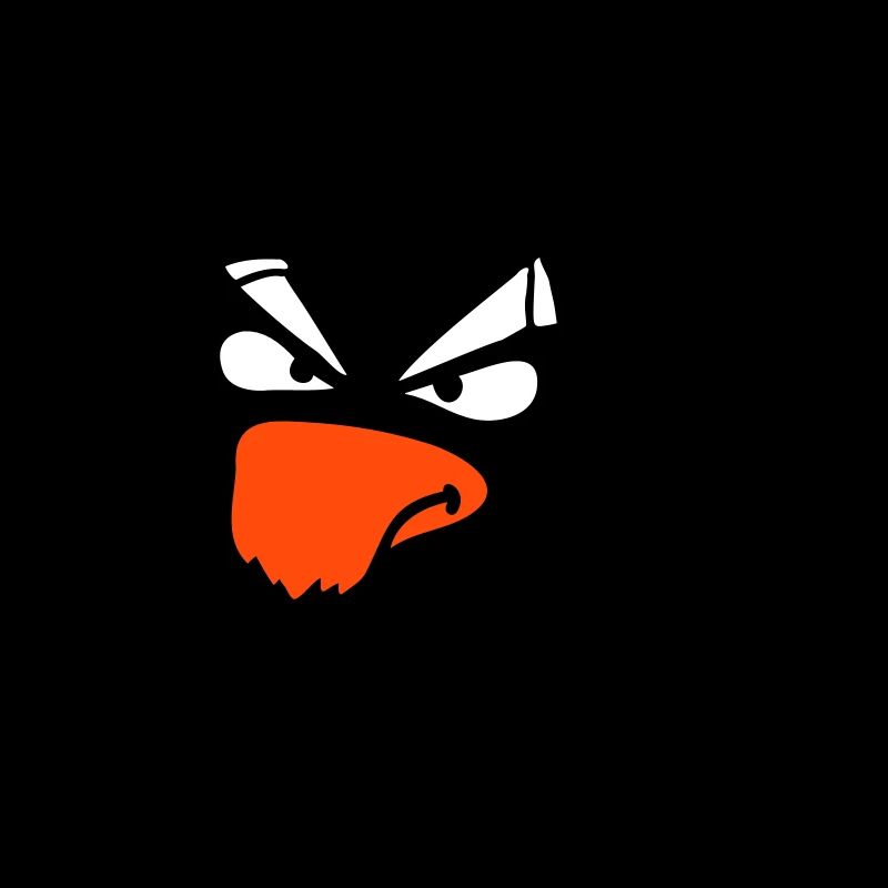 Rabe Vogel guckt böse cool lustig Comic Humor Spaß