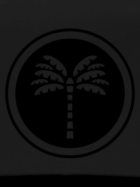 Palm Tree Icon