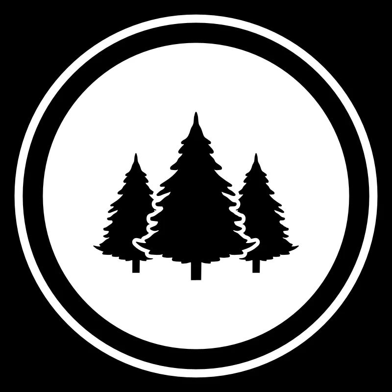 Tree Fir Forest