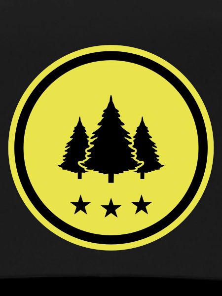 Tree Fir Forest