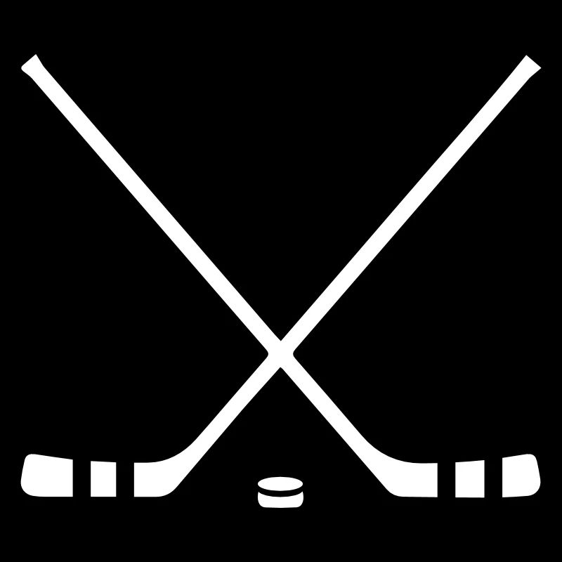 Bâtons de hockey sur glace