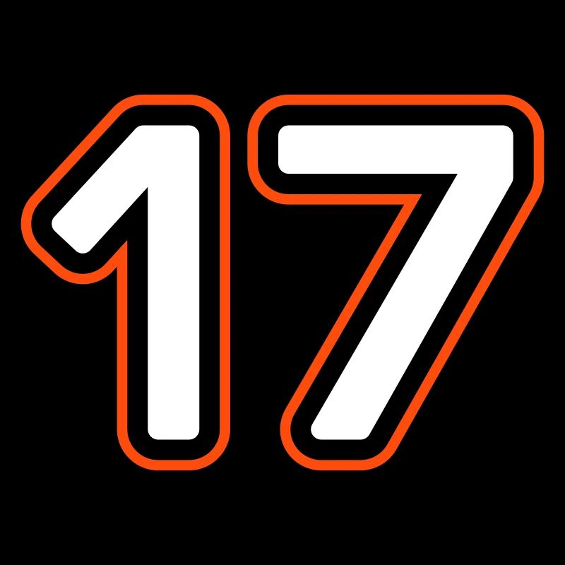 17 Number symbol