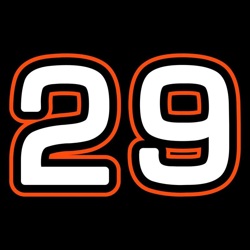 29 number symbol