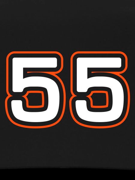 55 number symbol