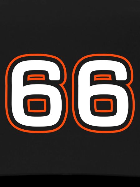 66 number symbol