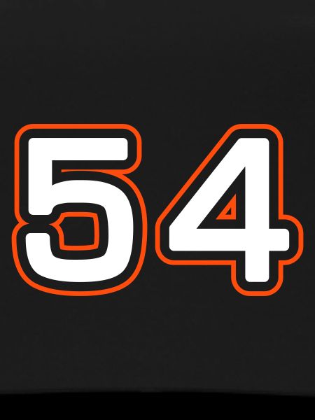 54 number symbol