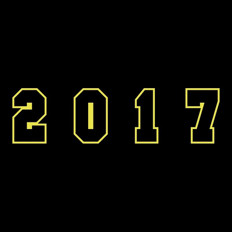 2017 Year Number