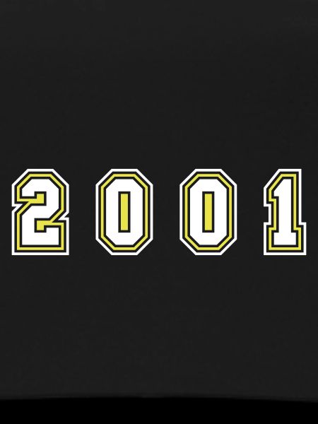 2001 Year Number