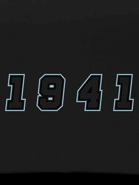 1941 Year Number
