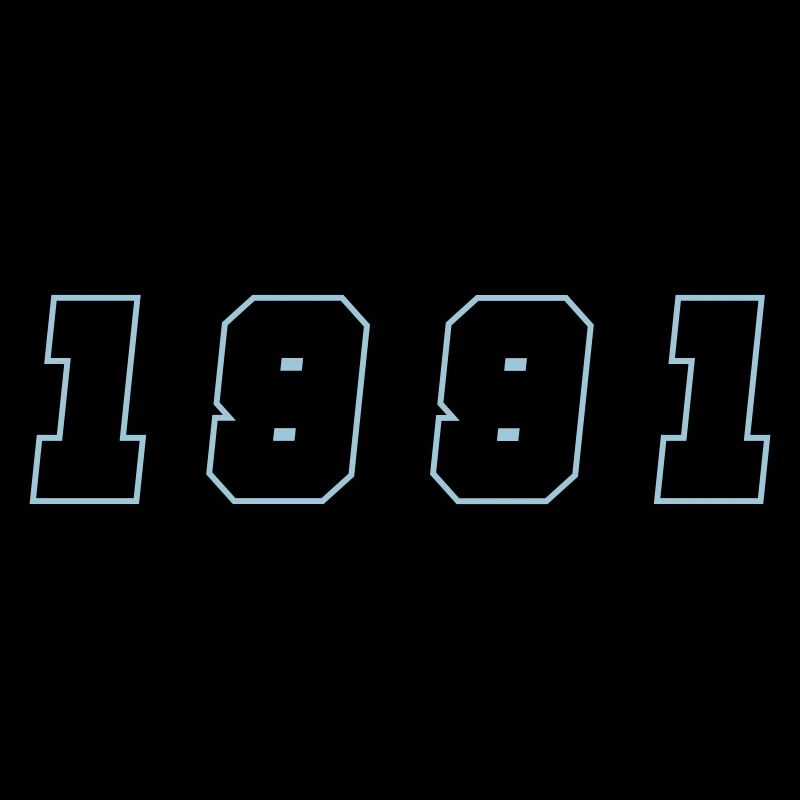1991 Year Number