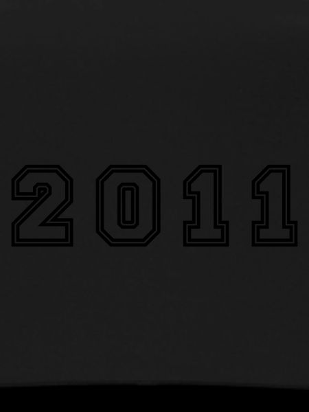 2011 Year Number