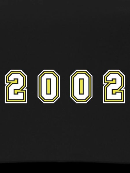 2002 Year Number