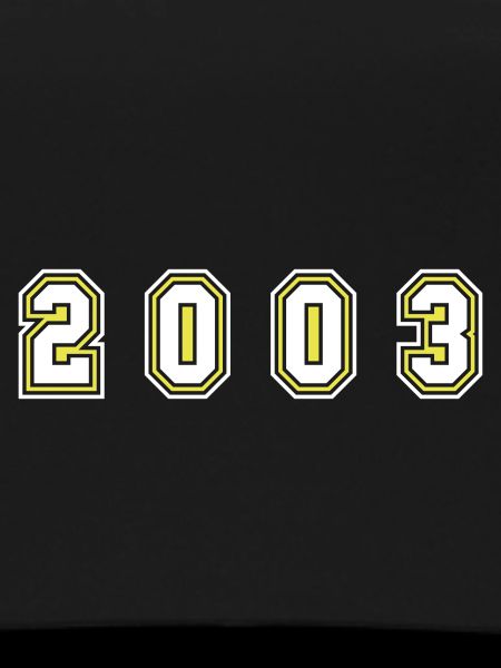 2003 Year Number