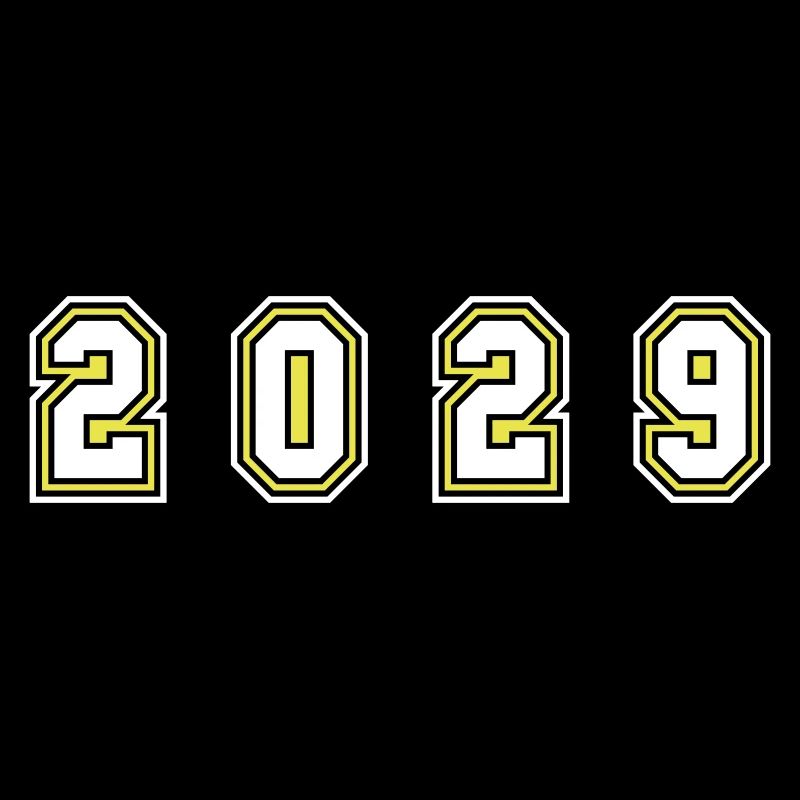 2029 Jahr Zahl