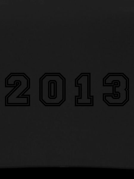 2013 Year Number