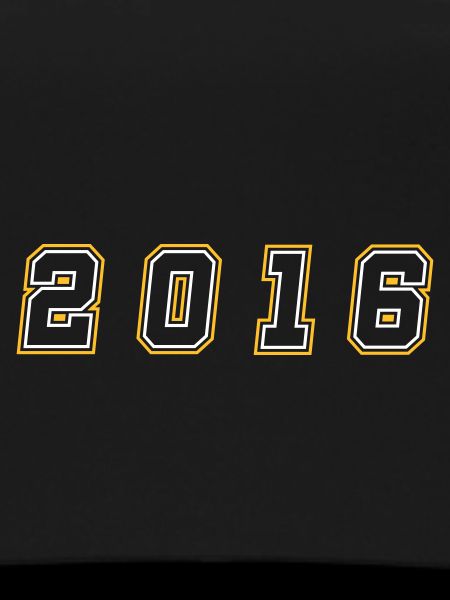 2016 Year Number