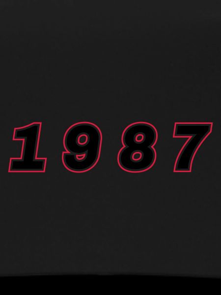 1987 Year Number
