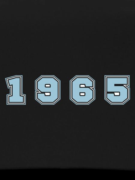 1965 Year Number