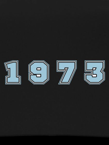 1973 Year Number
