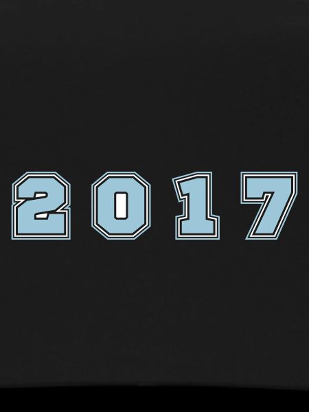 2017 Year Number