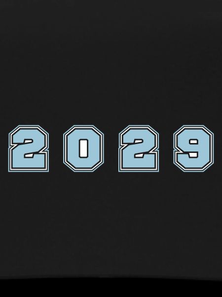 2029 Year Number