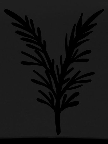 simple wildflower