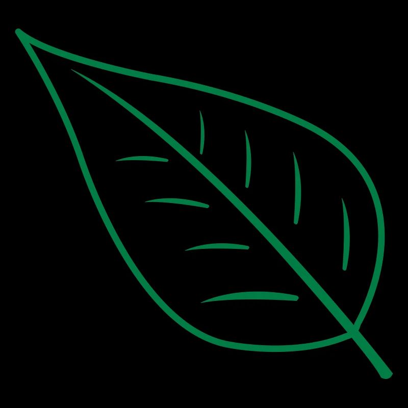 Feuille
