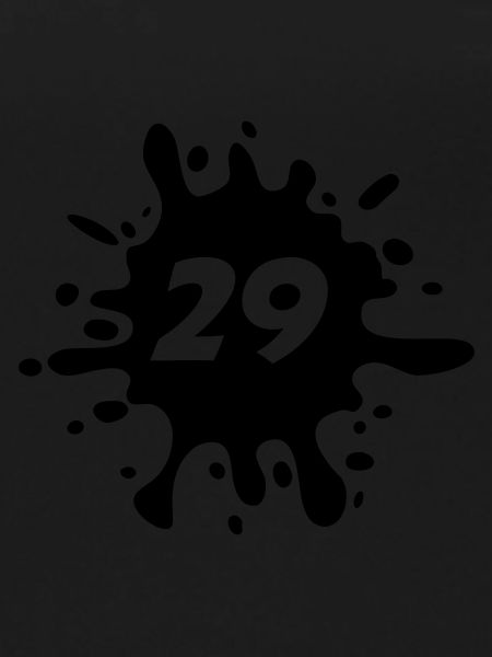 29