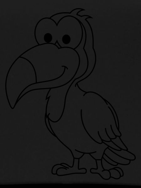 Tukan Comic Animal