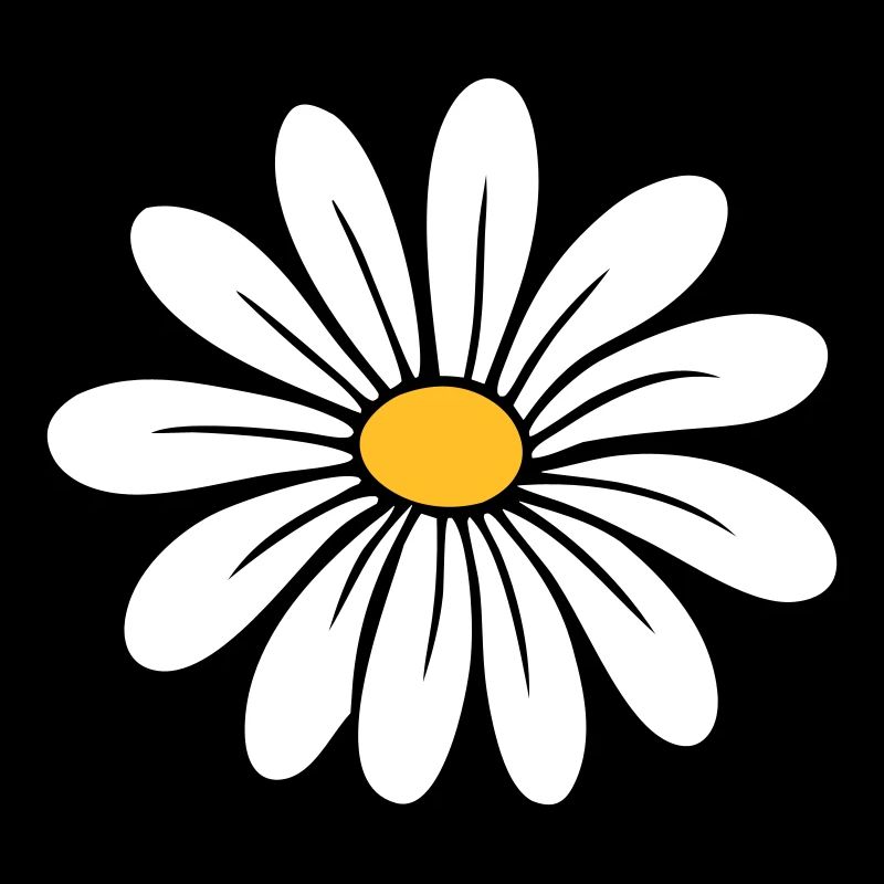 Gänseblümchen