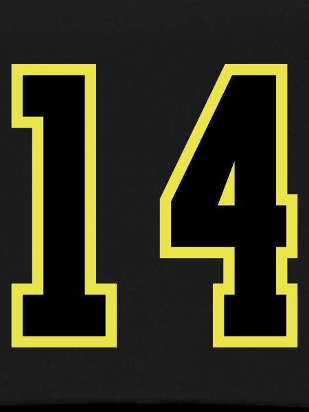 14 Number Leotard
