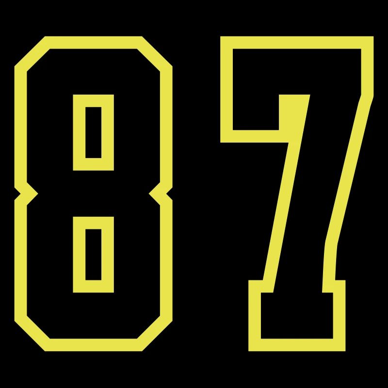 87 Number Leotard