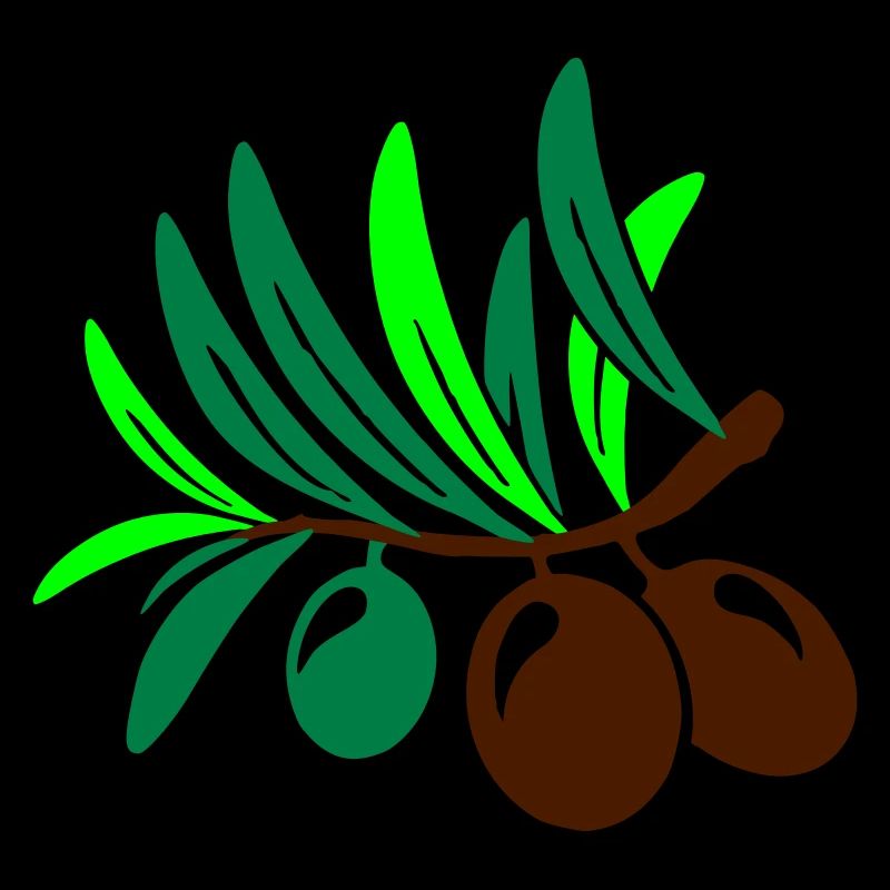 Olive 3 Sprig Feuille Huile d’olive Salade méditerranéenne