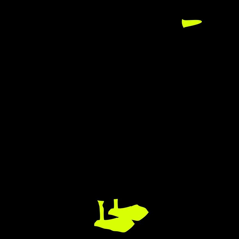 goose