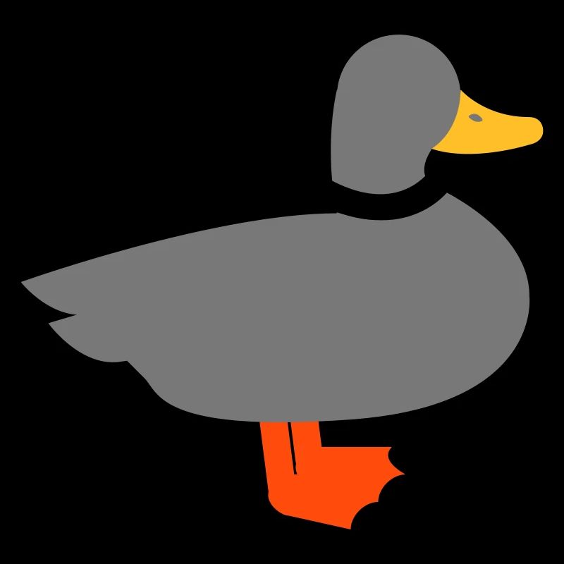 Duck