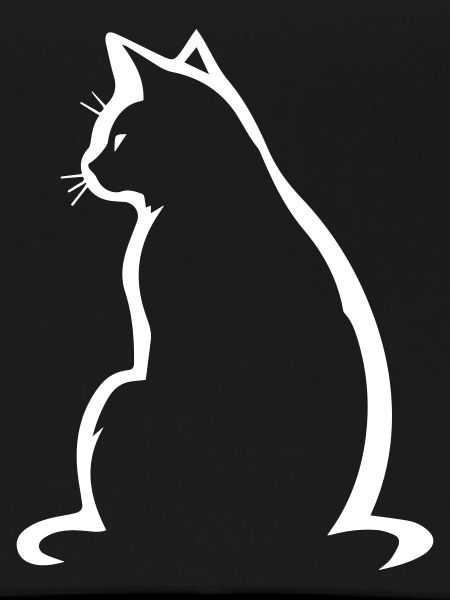 Katze