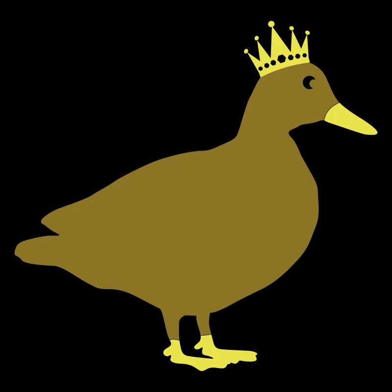Canard Roi Comique