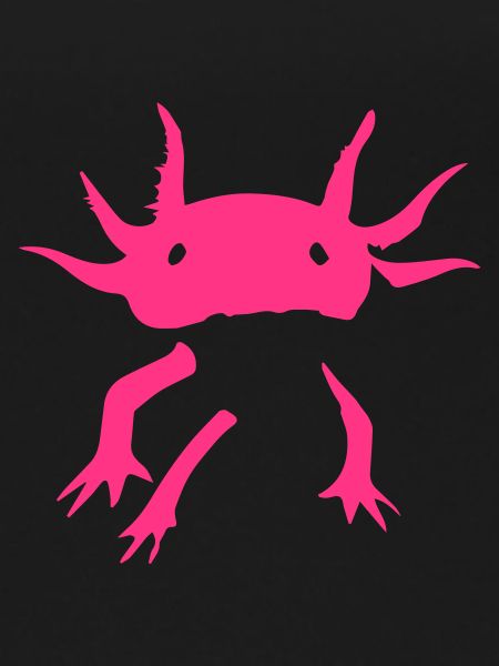 Axolotl